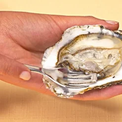 6 fourchettes à huîtres