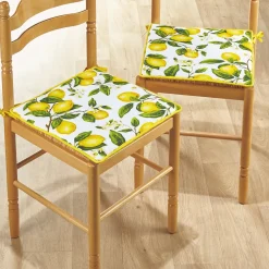 2 ou 4 galettes de chaise citrons