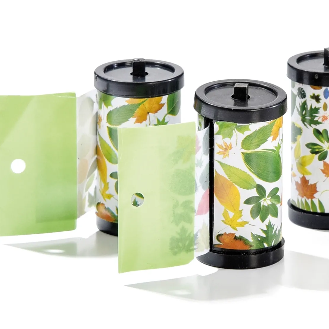4 rouleaux attrape mouches feuilles