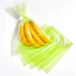 50 sachets conservation fruits/légumes