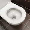 20 tablettes WC