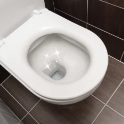 20 tablettes WC