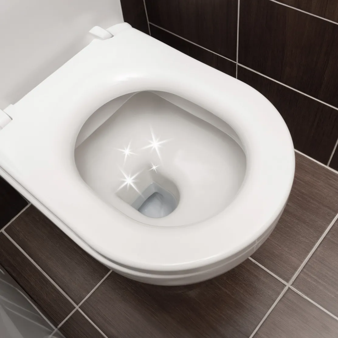 20 tablettes WC