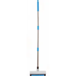 Balai brosse nettoie tapis