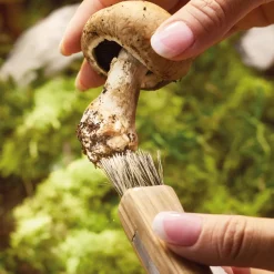 Couteau champignon