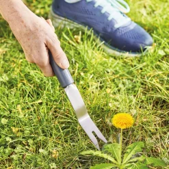 Désherbeur + manche télescopique