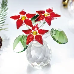 Fleur éternelle poinsettia