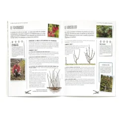 Livre "Taillez vos arbres et arbustes"