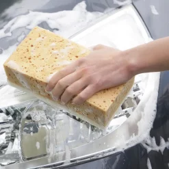 Lot de 2 éponges enlève moustiques