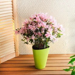 Pot de fleurs